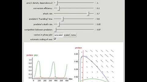 Predator-Prey Dynamics with Type-Two Functional Response