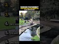 Ranking Funniest Random Fails (Water Edition) #viralshorts #shortsfeed