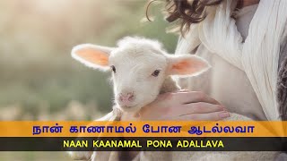 நான் காணாமல் போன ஆடல்லவா / Naan Kaanamal Pona Adallava