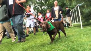 Bark in the Park 2014