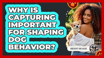 Why Is Capturing Important For Shaping Dog Behavior? - Obedient Dog Guide