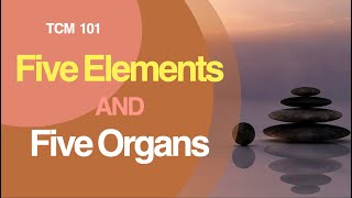 The Five Elements and Five Organs: Foundations of TCM
