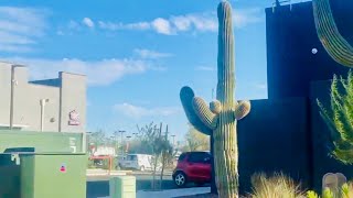 Drive thru Dunkin Donuts from Plaza Mall Tucson, Arizona