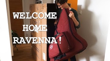 Unboxing Dusty Strings Ravenna 34 lever harp