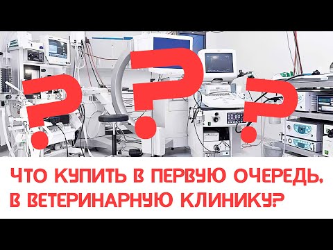 Как понять, что купить в первую очередь в ветеринарную клинику