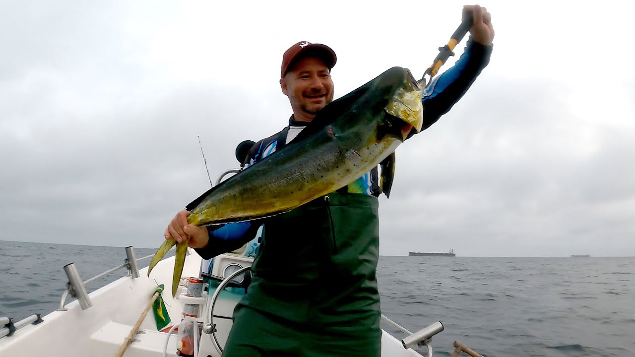 Saída da baia da babitonga São Francisco, pescaria de dourado, olhete,  prejereba.