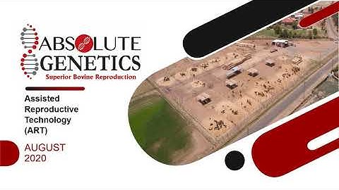 Absolute Genetics: Superior Bovine Reproduction
