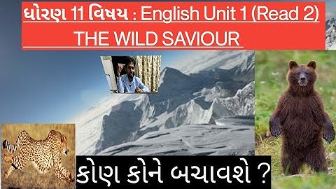 std 11 English unit 1 Read 2 The WILD SAVIOUR KALALSIR