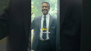 Famous Tim Meadows Explains His Character’s Weird Weakness: Bird Blindness in Peacemaker Season 2 🦅😂 Net Worth