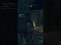 Don't Kiss The Bear - Elden Ring