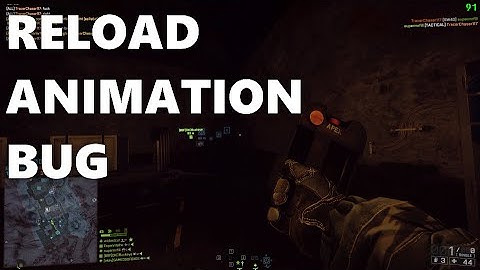 Reload Animation Bug