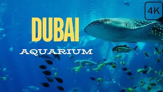 Dubai Aquarium & Underwater Zoo Complete Tour | 4k | Dubai Tourist Attraction