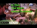 Great Indoor Tortoises & Turtles!