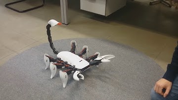 Scorpion hexapod by Robbe Terryn, Stephan Flamand, Pieterjan Deconinck