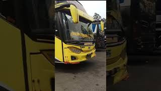 Story Wa Stj Tuscany