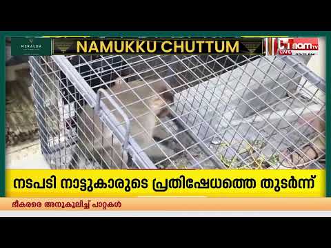 അമ്പട കുരങ്ങാ!! അനാസ്ഥയുടെ 5 നാളുകൾക്ക് ഒടുവിൽ ജനങ്ങളെ വലച്ച കുരങ്ങനെ പിടികൂടി