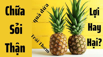 Chữa Sỏi Thận Bằng Quả Dứa hay Trái Thơm - Lợi và Hại ra sao? Bác sỹ Hồng giải thích khoa học