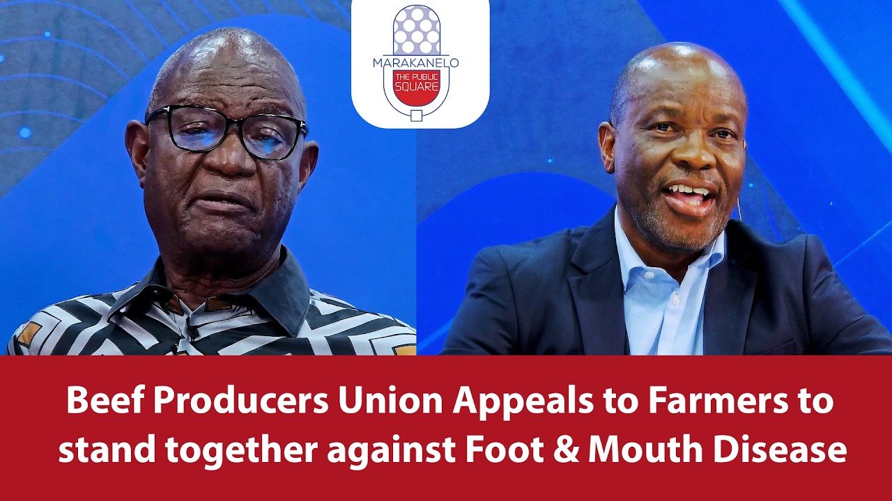 Союз производителей говядины призывает фермеров объединиться в борьбе с ящуром | The Public Square