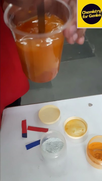 turmeric-and-indicator-experiment-fun-science-activity-by-class-7