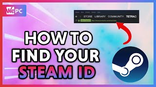 How to quickly find Steam ID numbers, Steam Games