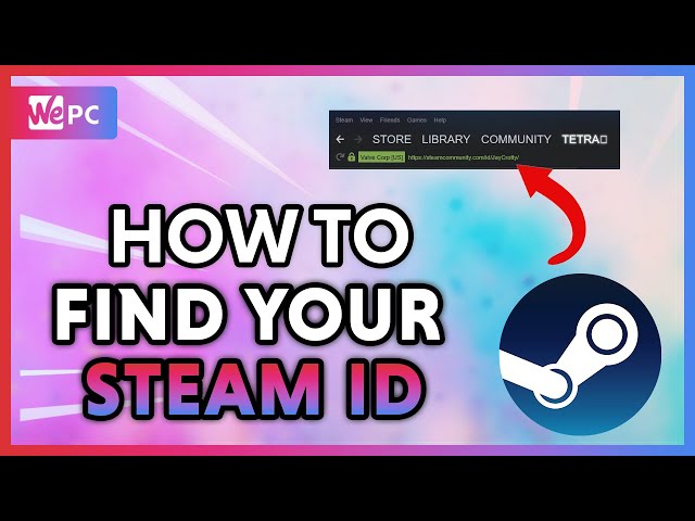 Three Ways to Find Your SteamID