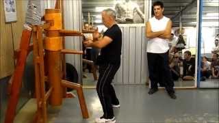 Wing Chun kung fu-Wooden Dummy - Franco Regalzi-Loukas Kastrounis EWCA