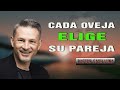 Pastor Cash Luna - Cada Oveja Elige su Pareja - Cash Luna 2023 Predicas Completas