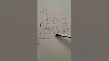 Learn Kiswahili Body Parts 2 