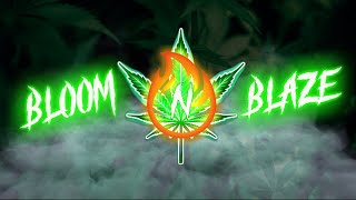 Bare essentials for beginner Cannabis growers