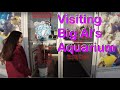 Visiting big als aquarium store  looking for a new hobby