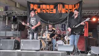 Squirrel Murphy - Blink 182 - Small Things (cover)