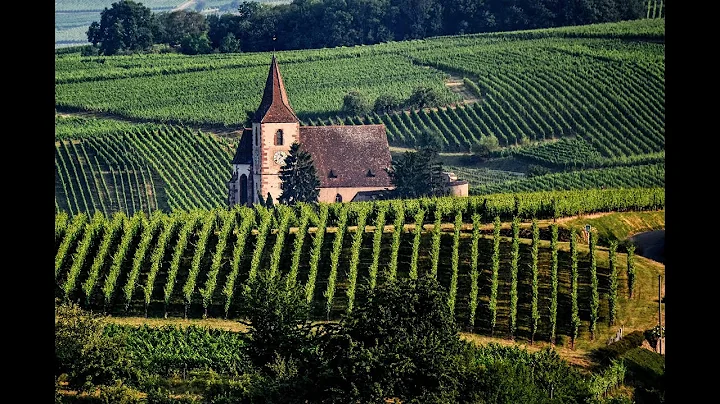 France -  Alsace, Lorraine, Black Forest (Germany)