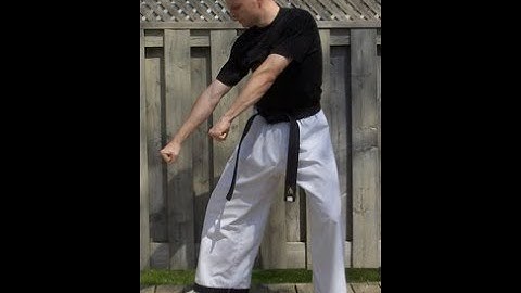 Taekwondo: Hapkido: Foundations: Double low punch - side view