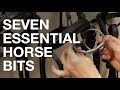 Seven Essential Horse Bits