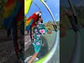 #ParrotGlider – Colorful Bird Joins the Flight! 🦜🌈 #FeatheredFlyer #flying #hangglider #hanggliding