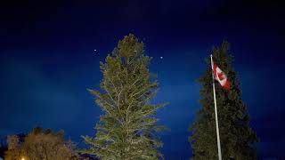 Jasper To Banff In A New Year Day 2021