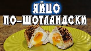 Яйца по-шотладски с куриным фаршем: красиво, вкусно, сытно! Яйца по-шотладски с куриным фаршем: красиво, вкусно, сытно!