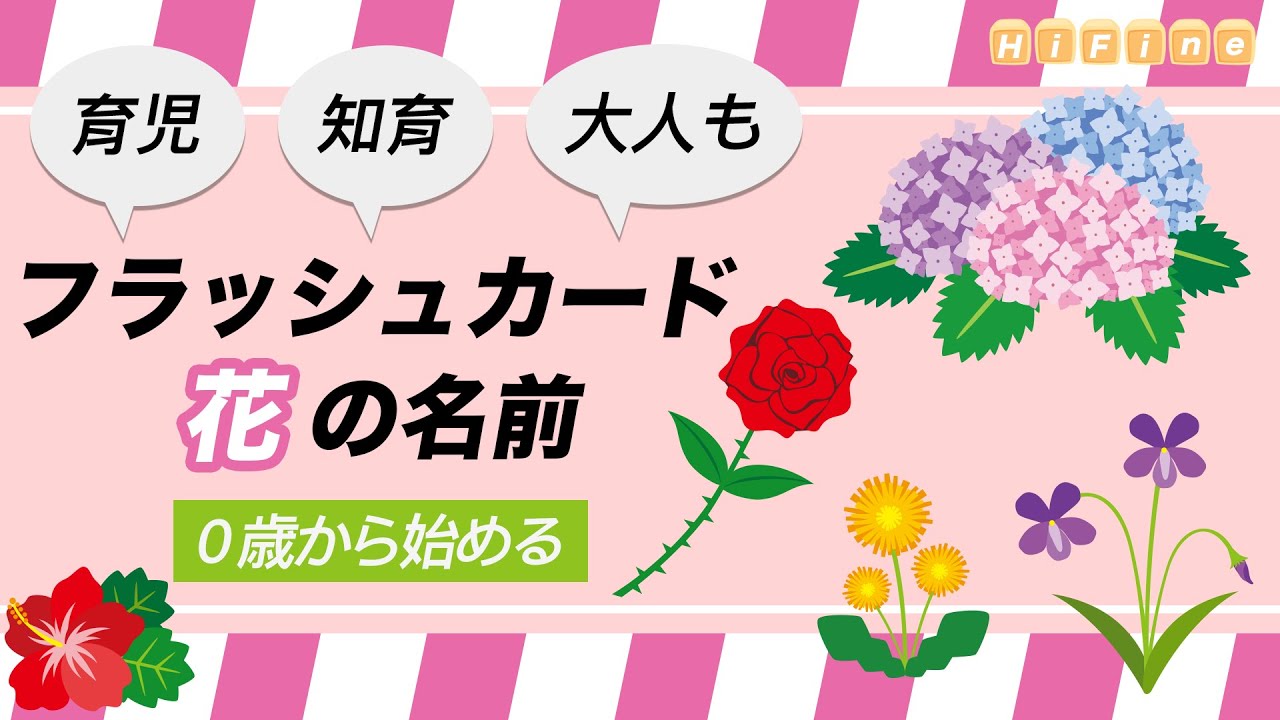 【花の名前】知育フラッシュカード（たっぷり３１種！ひまわり チューリップ あじさい ゆり  ひらがな 幼児向け  子ども向け 日本語 Hiragana flower Japanese