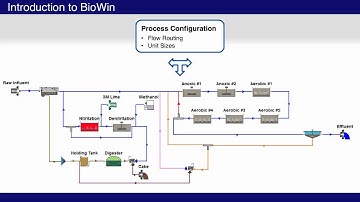 What is BioWin?