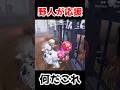 野人がずっと追いかけてくるチェイスがやばいwwwww【第五人格】【IdentityV】