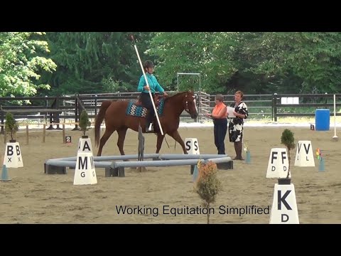 Obstacles Intro by Working Equitation Simplified.