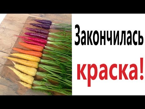 Лютые приколы. ЗАКОНЧИЛАСЬ КРАСКА!!! Засмеялся проиграл! САМОЕ смешное видео! - Domi Show!