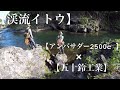 【渓流イトウ】⁑アンバサダー2500c ⁑〜夏の渓流を歩く〜