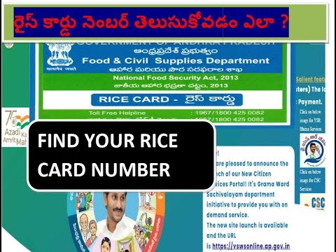 Ap Rice Card Serial Number #రైస్ కార్డు నెంబర్ తెలుసుకోవడం ఎలా ?2022/ FIND AP RICE CARD NUMBER ?SD ...