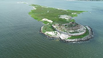 How SCDNR Biologists Use Drones for Research
