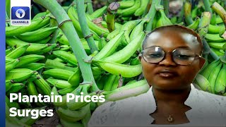 Plantain Prices Skyrocket In Nigeria