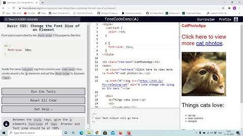 Tutorial 5 - font size property css - free code camp (Explained)