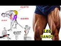 Resistance band leg workout ✅ 8 The best legs exercises with bands