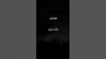 سورة مريم | القارئ : سعود الفايز #quran #قرآن #المصحف