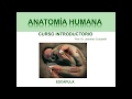 Escápula - Para aprender a aprender anatomía